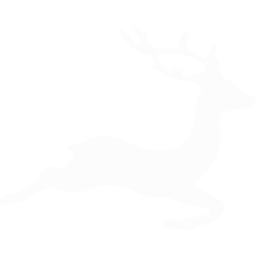 Custom Taxidermy